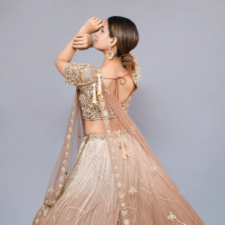 Ceremonial Crop Top Lehenga0 - Vastrachowk