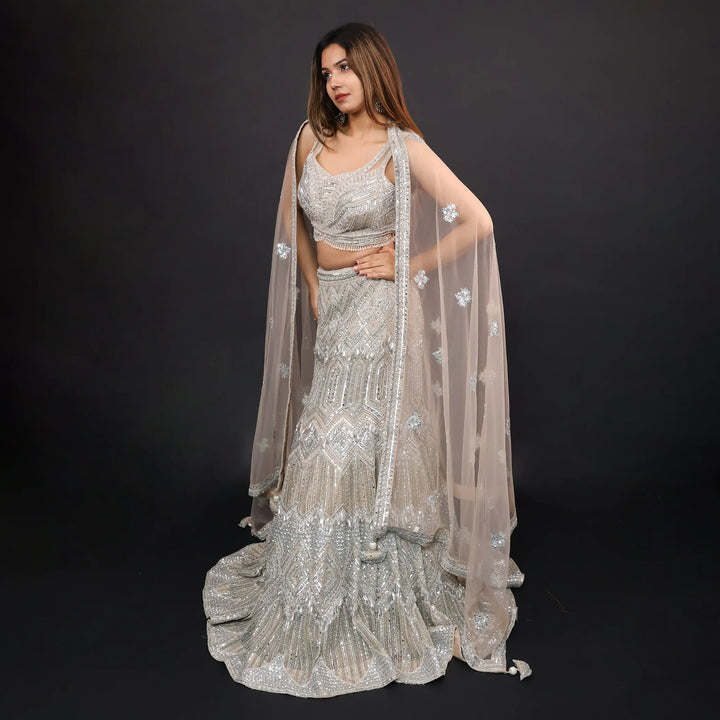 Ceremonial Crop Top Mermaid Style Lehenga-Vastrachowk