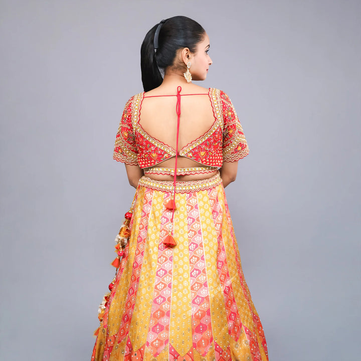 Crop Top Traditional Lehenga- Vastrachowk