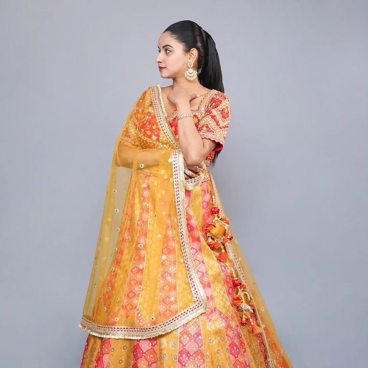 Crop Top Traditional Lehenga- Vastrachowk