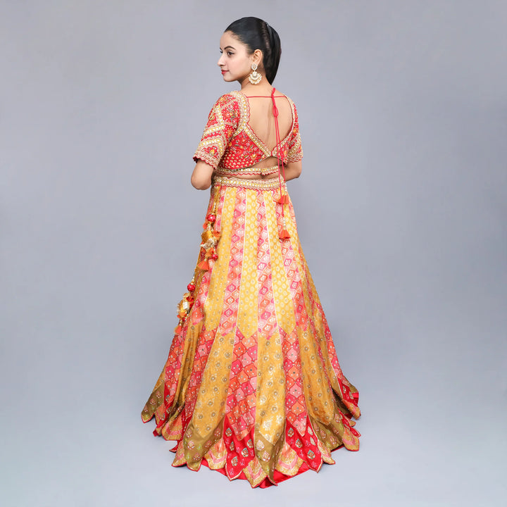 Crop Top Traditional Lehenga- Vastrachowk