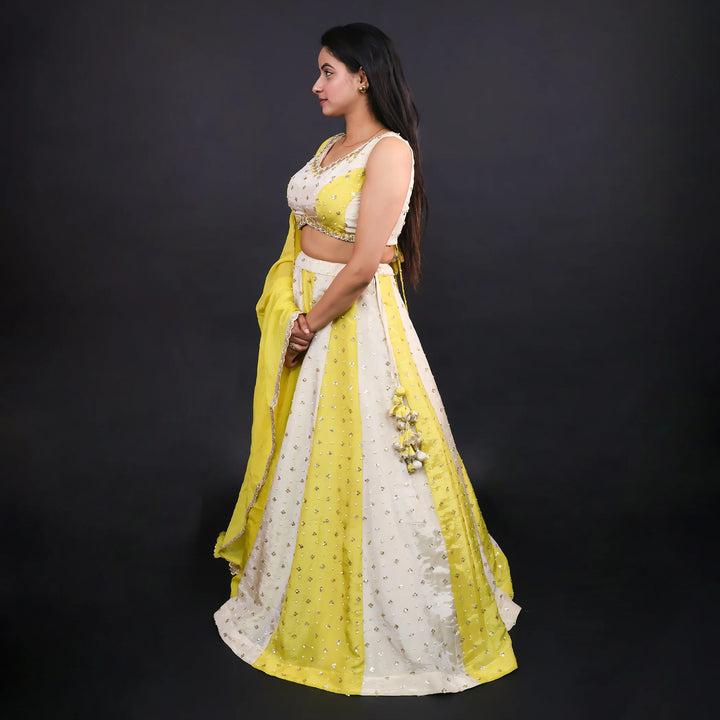 Crop Top Traditional Lehenga with Dupatta