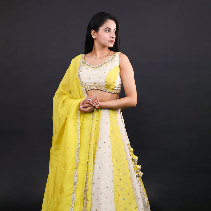 Crop Top Traditional Lehenga with Dupatta