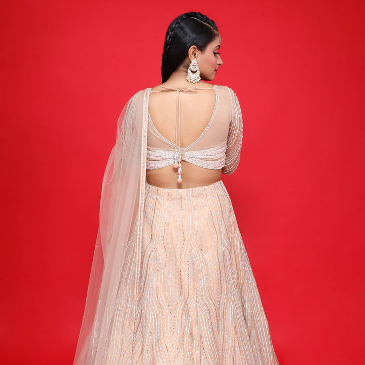 Designer Lehenga with Beautiful Blouse