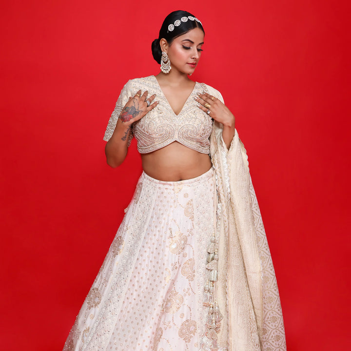 Elegant Multi Kali Traditional Lehenga