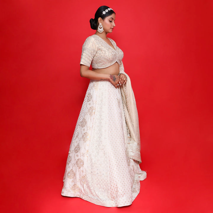 Elegant Multi Kali Traditional Lehenga