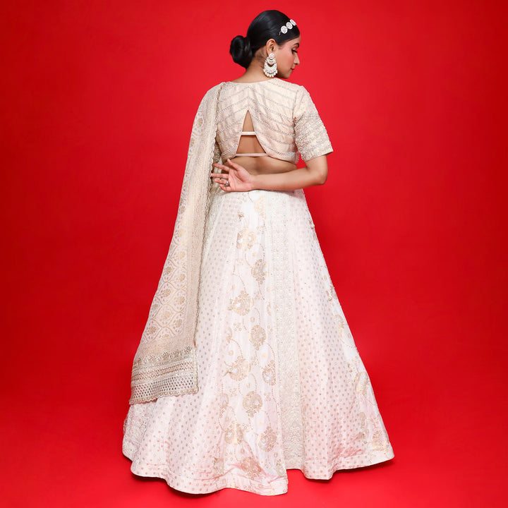 Elegant Multi Kali Traditional Lehenga