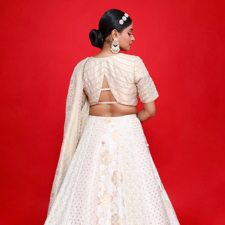 Elegant Multi Kali Traditional Lehenga