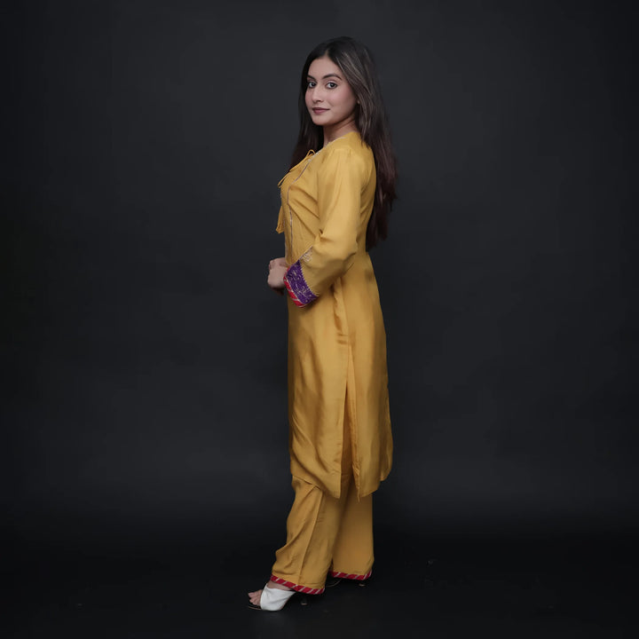 Vastrachowk simple Straight Suit with pant for women