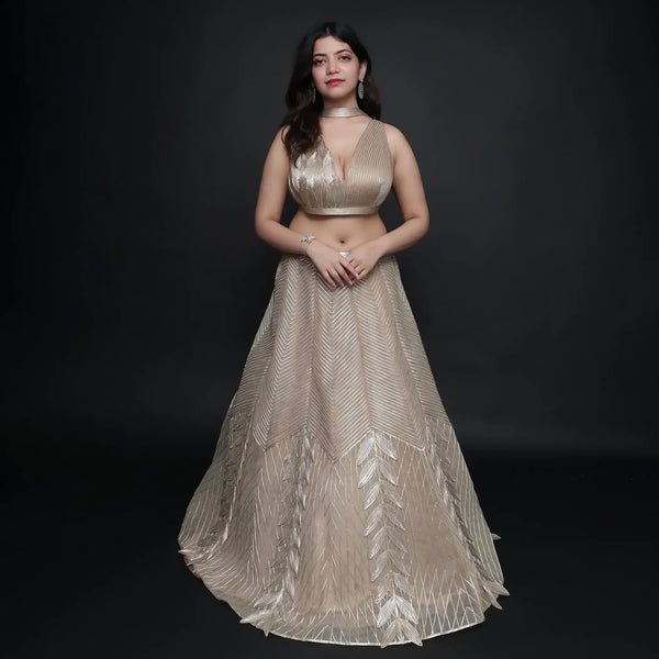 Vastrachowk Stylish Western Crop Top Lehenga Kali Style