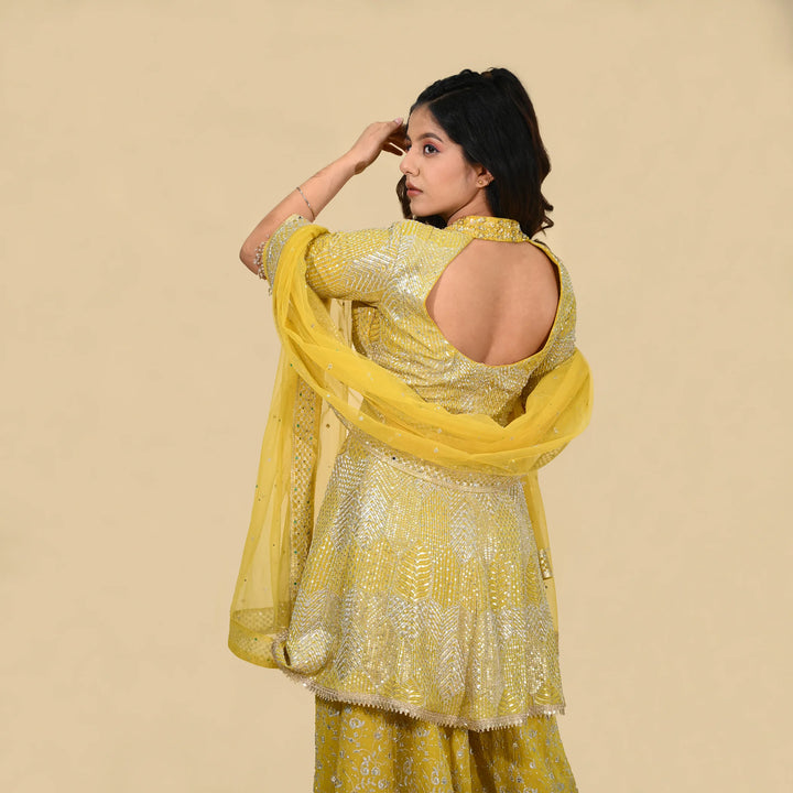 Traditional Sharara Long Shirt