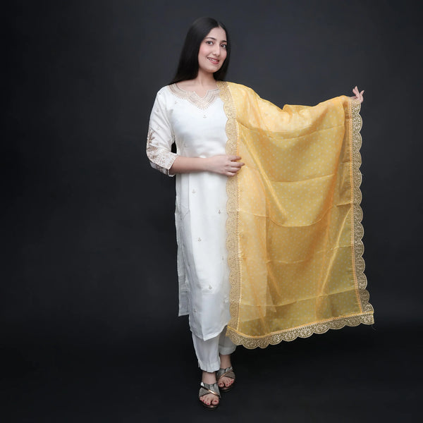 Vastrachowk Traditional Straight Suit with Pants