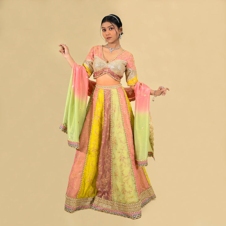 Vastrachowk Traditional multicolour crop top lehenga