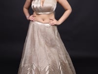 Vastrachowk Stylish Western Crop Top Lehenga Kali Style