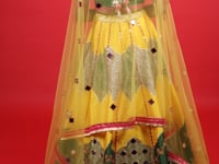 Stylish Lehenga Choli- Vastrachowk