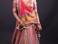 Multicolour Printed Traditional Crop Top Lehenga- Vastrachowk