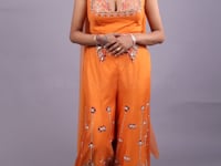 Crop Top with Sharara Set-Vastrachowk